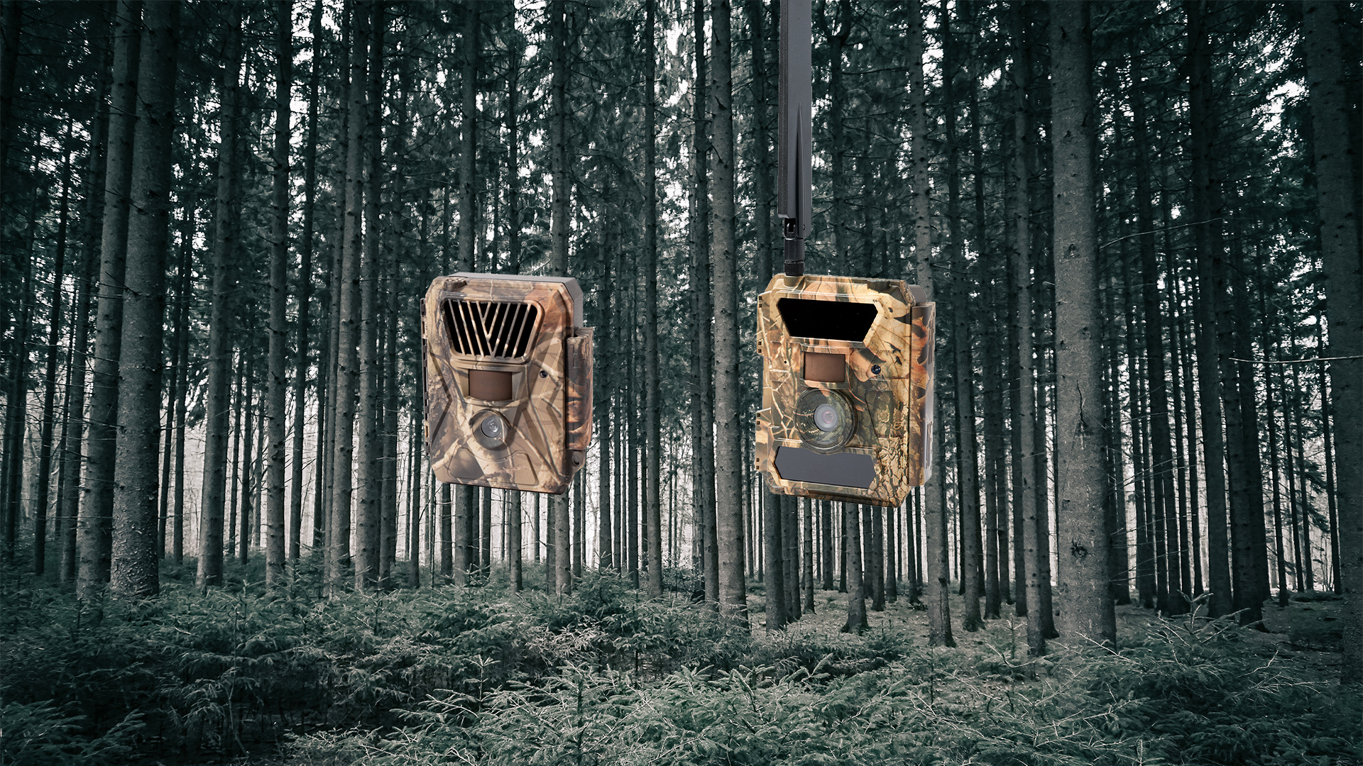 Billede of to vildtkamera