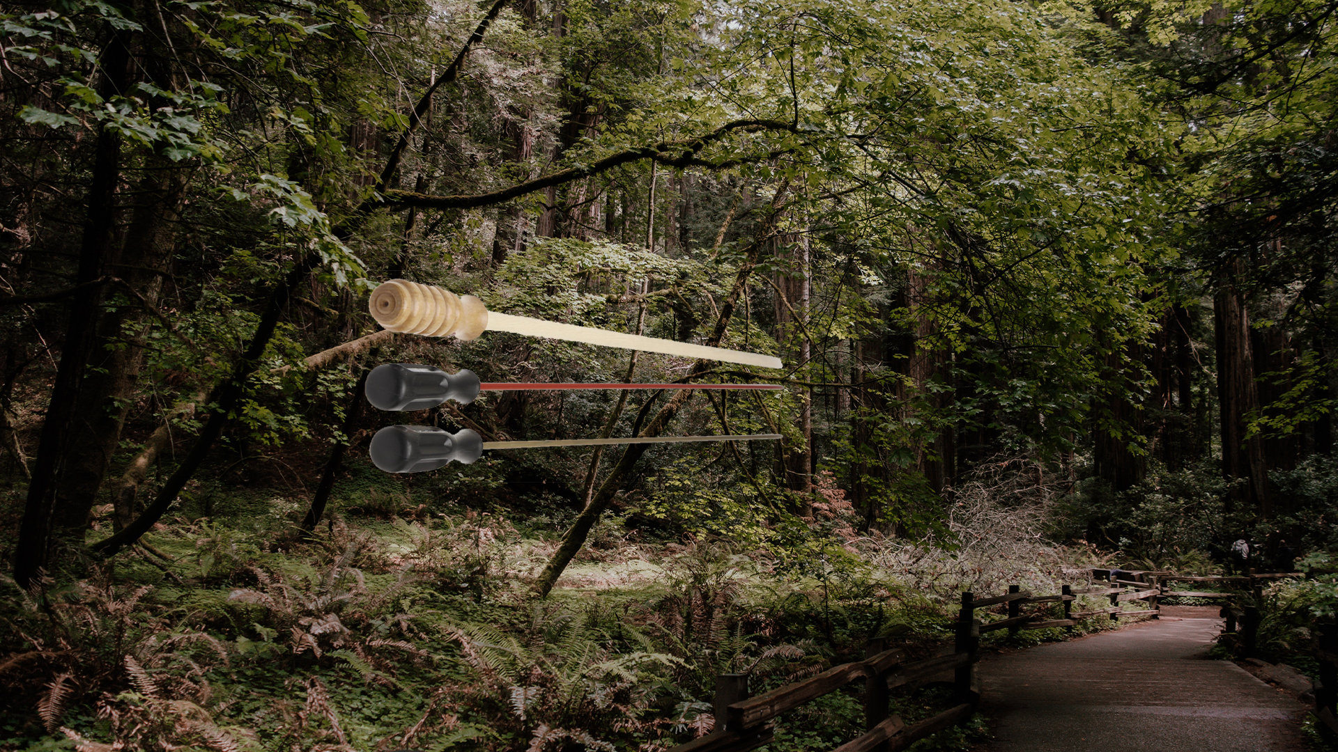 Billede af en rensestok til våben